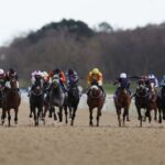 Newcastle hosts a busy all-weather card