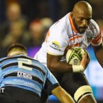 European Challenge Cup: Cheetahs to play European games in Swansea